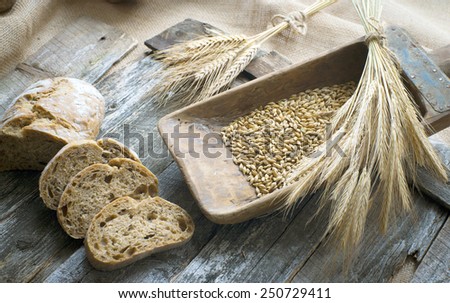 Wheat ,grains and bread