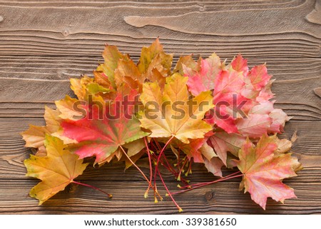 fallen leaves on wooden background, top view, copy space. free space for text