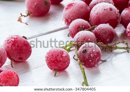 frozen red currant berries on white painted wooden table
