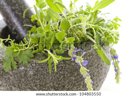 granite mortar with fresh herbs
