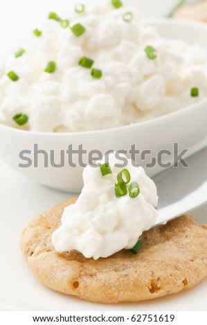 Cottage Cheese on a Cracker