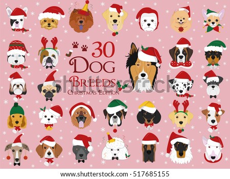 Set of 30 dog breeds with Christmas and winter themes