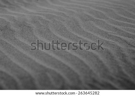 beach desert sand wavy pattern due to wind blow in black and white background