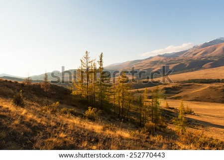 Sunset in Altai Mountains, very close to Mongolian border. Southern Siberia, Russia