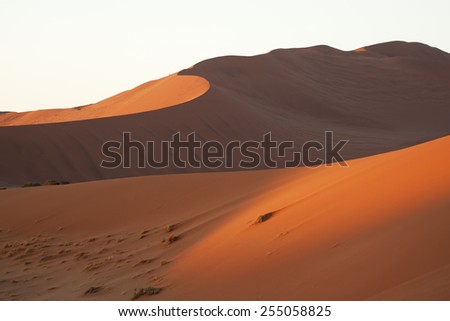 Sunset light over sandy barkhans in the most dry and wild place  all over the world - Namib desert, Namibia.