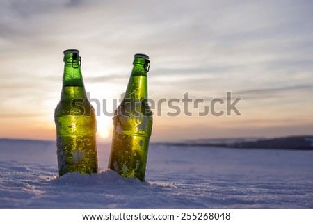 bottle of beer in the snow