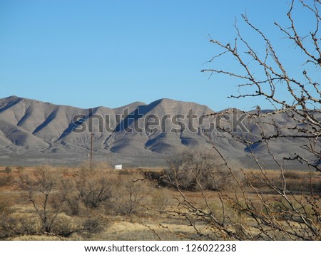 Scenic view of the Van Horn mountain range in Texas, with grassland and brush in the midground and spindly, winter bushes in the foreground.