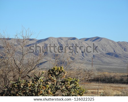 Scenic view of the Van Horn mountain range in Texas, with grassland and brush in the mid-ground .