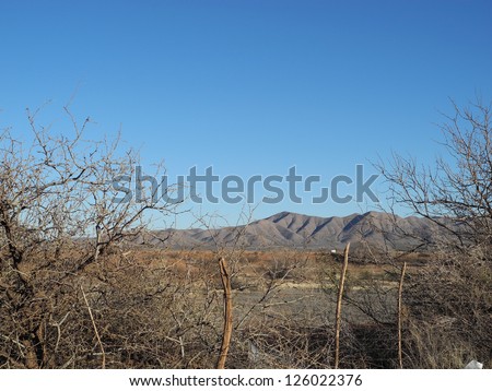 Scenic view of the Van Horn mountain range in Texas, with grassland and brush in the mid-ground and spindly, winter bushes in the foreground.