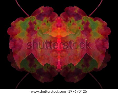 This image is one of a series of vivid organic backgrounds based on leaf forms isolated on a black ground.