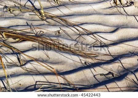 Dried grass strands on the beach, stretch across the furrows of winter sand.