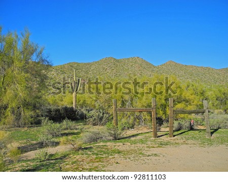 View of desert landscape in the Superstition Mountains of Tonto National Forest near Mesa, Arizona.