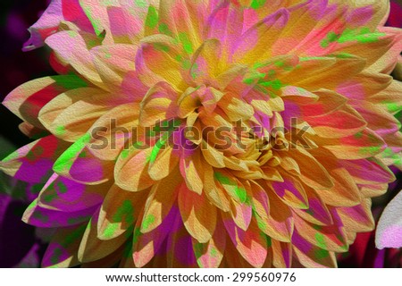 This is fall Chrysanthemum altered into several textured floral backgrounds for you to choose from.