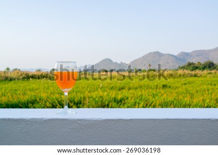 Glass of orange drink on a white wall with background of mountains and grass field in the distance