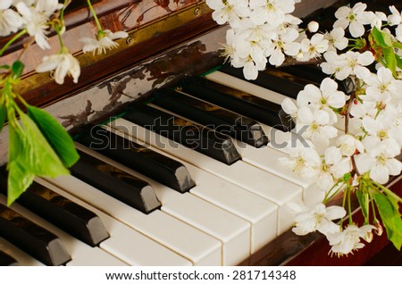 branches with white flowers of cherry and green leaves lie on the piano keyboard