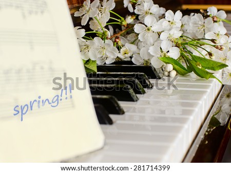 branches with white flowers of cherry and green leaves lie on the piano keyboard