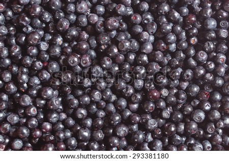 the wild berries of bilberry which are taken a close-up