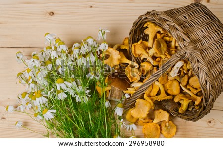 the wattled basket with edible fungi costs on a wooden surface. Nearby bouquet of field camomiles