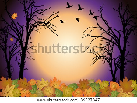 fall scenery wallpapers. stock vector : Fall scenery