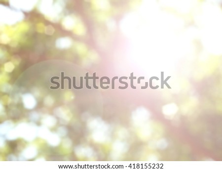 Nature abstract bokeh blurred background. give life air Tree growth day hot summer future outdoor earth backdrop green natural room heaven blur sustainability fun be moody Mineral Good eyesight