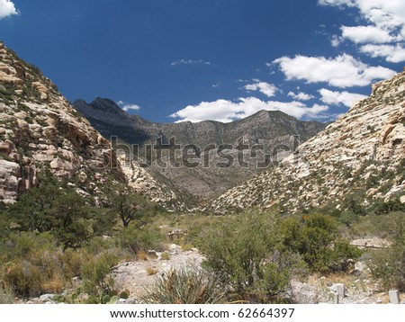 Desert valley dry wash landscape, Nevada. Red Rock Desert