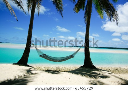 stock photo Hammock strung between two palms on tropical island