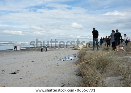 TAURANGA, NEW ZEALAND OCTOBER 13: People viewing debris, shipping containers and oil washed up following the wrecking of the the ship Rena on October 13, 2011, Tauranga. Ship reefed on October 5, 2011.