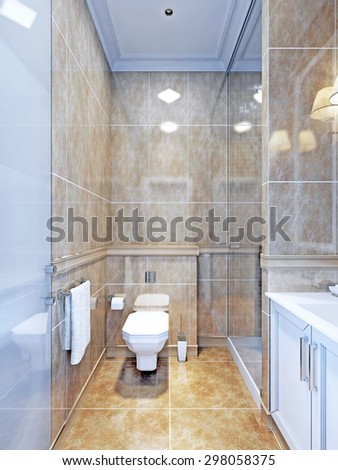Idea of provence bathroom. An example of an interior bathroom with limited space, where the separated shower looks nice with a door of glass.3D render