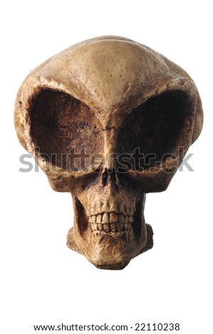 stock-photo-alien-skull-isolated-on-white-22110238.jpg