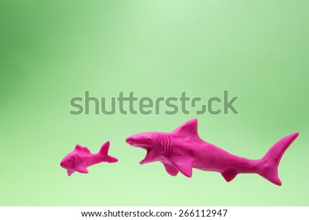 shark hunting 1
