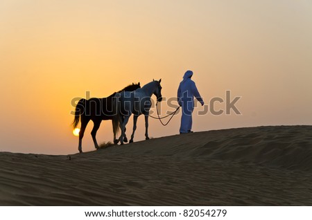 Arab Man with Arabian Horse in the Arabian Desert during the sunset