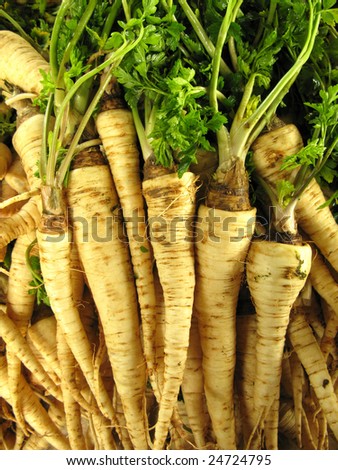 Parsley root vegetable