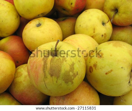 apples bio food