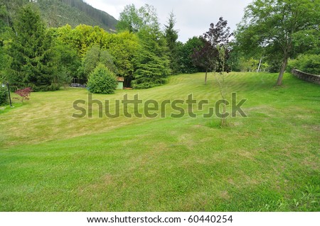 garden with a big area of lawn and diferent trees