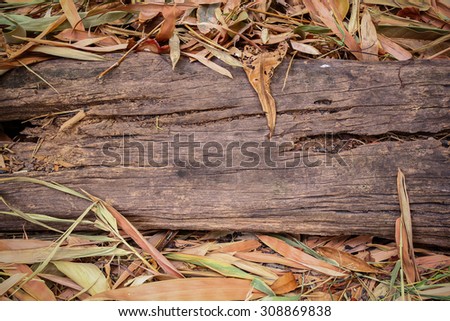 Vignette wood log and dry leaf on ground. Old wood log on ground. Grunge wood log and dry leaf. Grunge wood trunk. Grunge wooden. Rough wood and dry leaf. Old tree log. Vignette tree log. Tree log