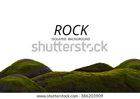 Moss grow on sea rock and white background.