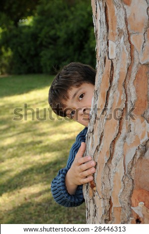 Hide and Seek.Young boy looking out from behind a tree.