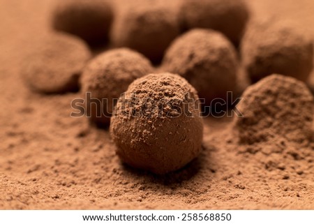 Food styling. Homemade chocolates, mouthwatering sweets covered in cocoa, close up. Shallow depth of field