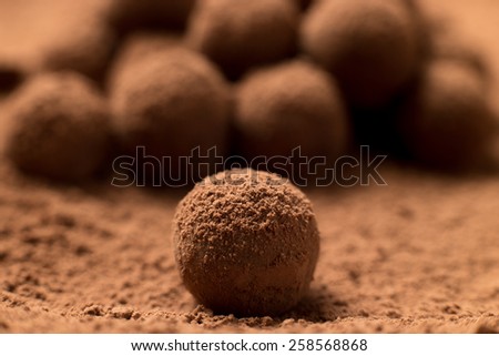 Close up of fresh delicious dark chocolate truffle covered in cocoa powder. Shallow depth of field