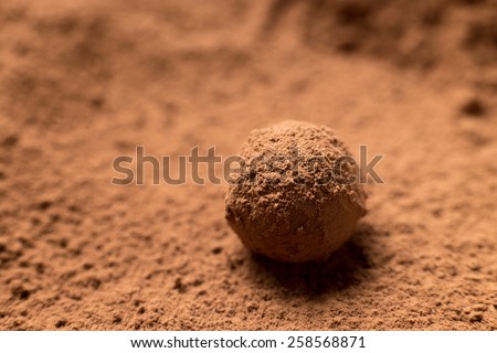 Healthy homemade food. Close up of chocolate truffle candy covered in cocoa. Shallow depth of field, copyspace