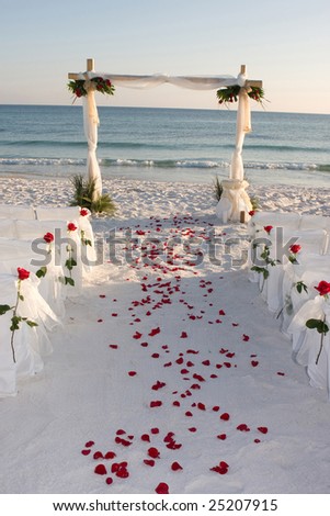 Rose pedals line the bridal path on the beach.