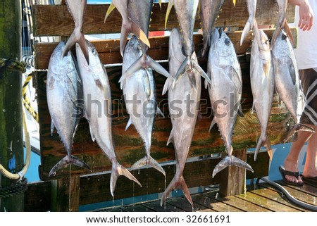Freshly caught fish hang on pegs for the proud fishermen\'s photo opportunity at Destin docks in Florida\'s Panhandle.
