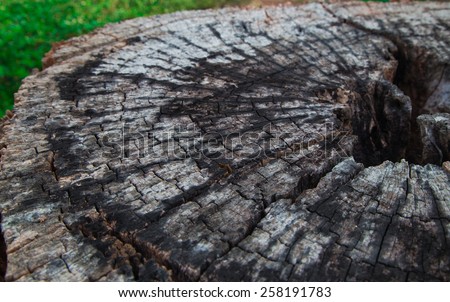 Old stump.
