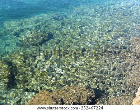 aqua background - stones shells and sand on the sea bed