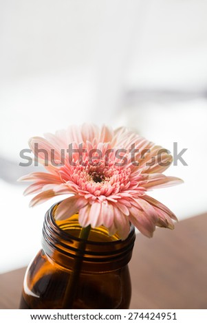 Gerbera Flower in the Bottle on the Table