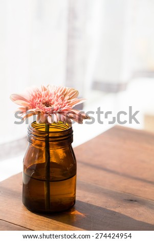 Gerbera Flower in the Bottle on the Table