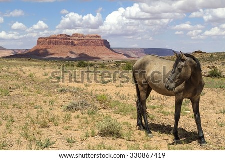 Horse Roaming in Monument Valley
