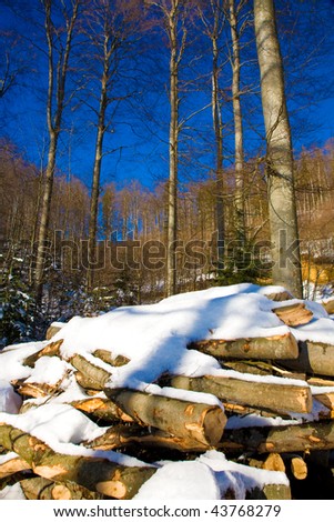 snow-covered pile of wood in the winter sunshine.