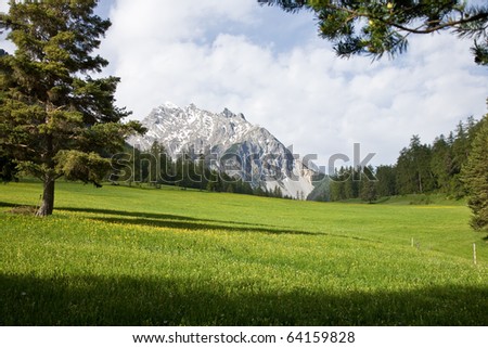 Mountain scene with a green lawn, trees and mountain.