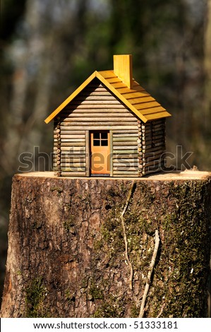 concept of an ecological house timber